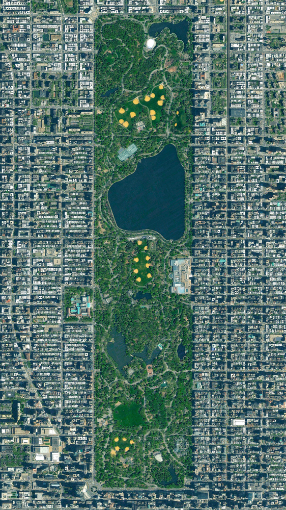 Центральный парк, Нью-Йорк, США. 